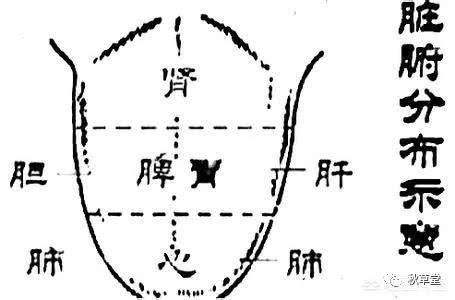 觀舌測健康