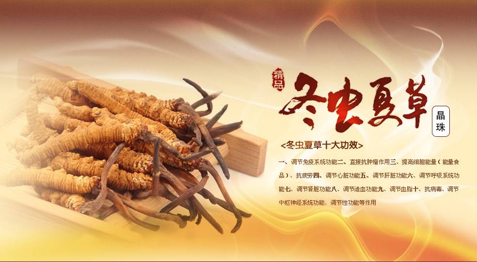 如何正确辨别真假冬蟲夏草(cǎo)